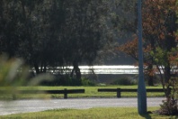 $photoDescription