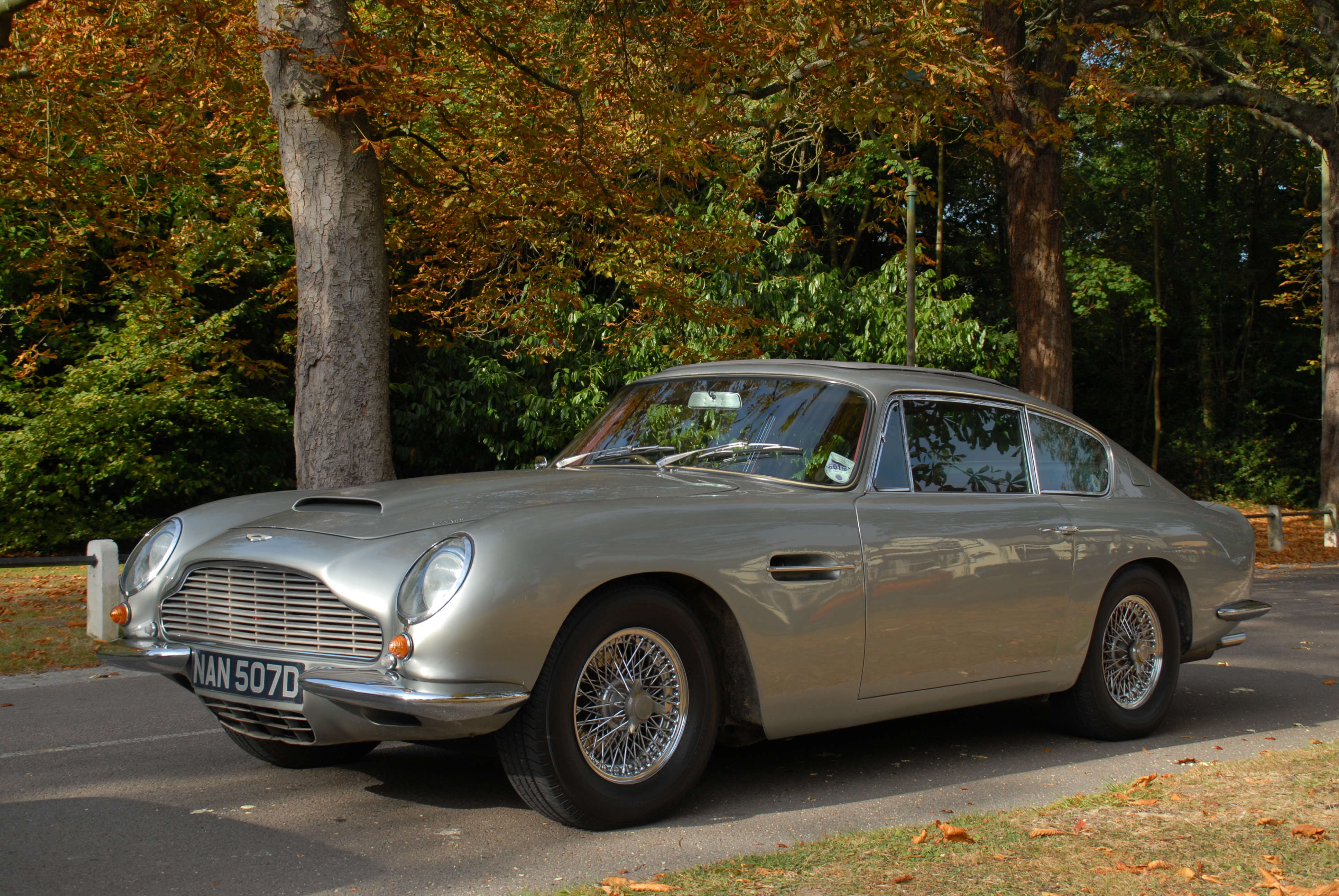 db6.jpg